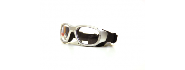 Спортивные очки LIBERTY MAXX 21 PLSI SILVER (48)